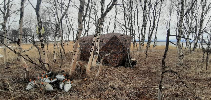 Осень вступает в свои права, а значит — начинается самый атмосферный сезон рыбалки!
